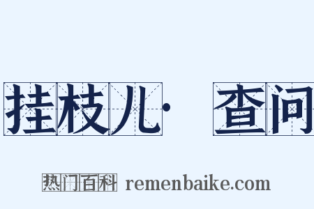 挂枝儿·查问是什么意思的图片